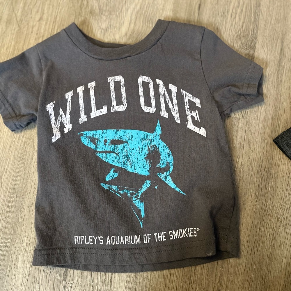 Kids Gray Shark T-Shirt